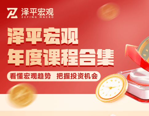 2024泽平宏观VIP,年度课程合集,看懂宏观趋势把握投资机会价值2980元