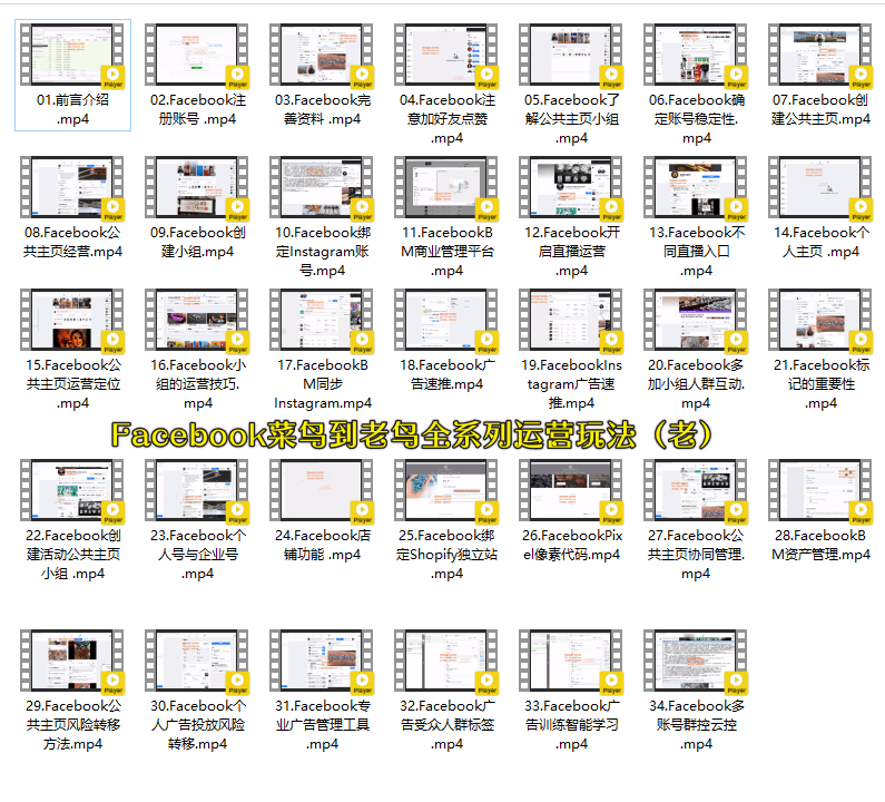 跨境小哥Facebook广告投放菜鸟到老鸟系列课程，200多万美元投入实战实操经验
