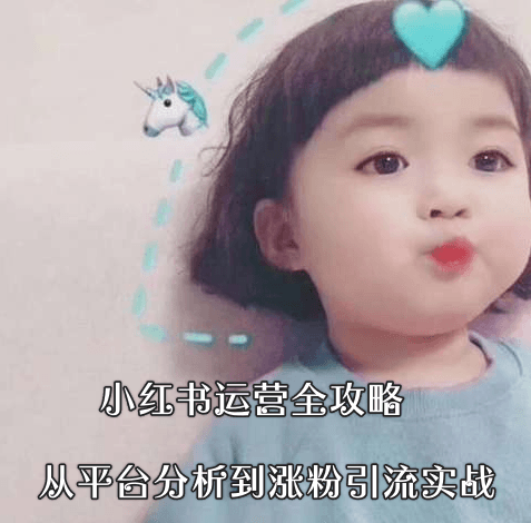 小红书运营全攻略：从平台分析到涨粉引流实战