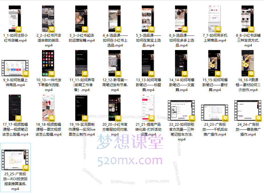 小红书电商流量红利全攻略：零基础开店到爆单卖货指南