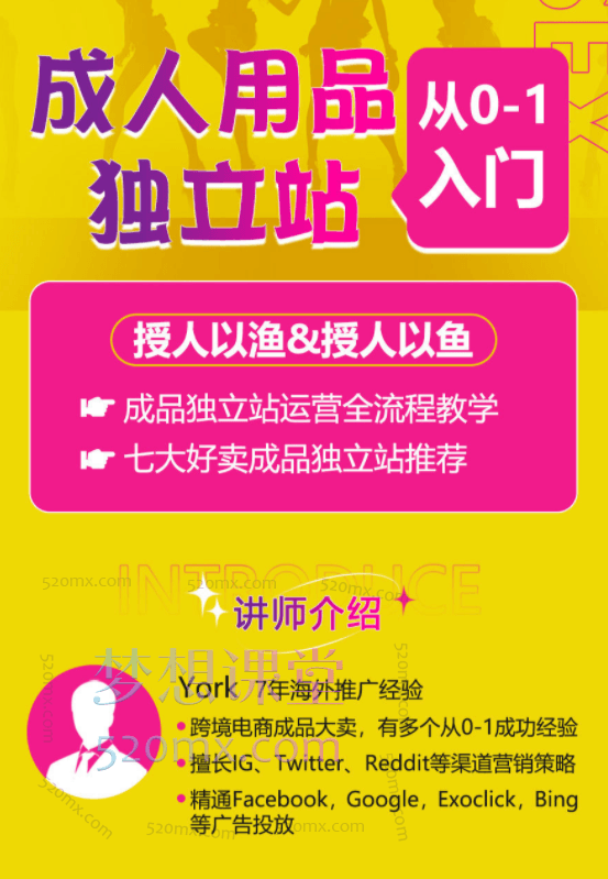 成人用品独立站从0-1入门，市场趋势分析、商业模式讲解、目标受众调研、竞对分析、选品、引流、高转化成人独立站打造，从0-1全面掌握独立站成品运营策略
