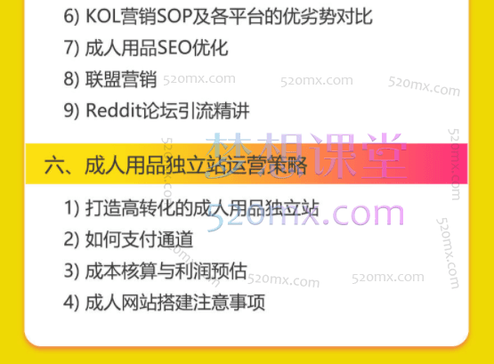 成人用品独立站从0-1入门,市场趋势分析、商业模式讲解、目标受众调研、竞对分析、选品、引流、高转化成人独立站打造,从0-1全面掌握独立站成品运营策略
