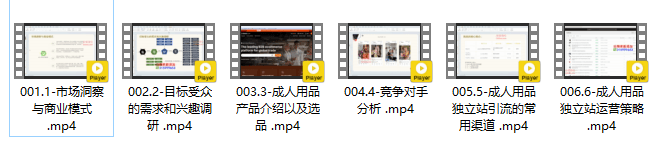 成人用品独立站从0-1入门，市场趋势分析、商业模式讲解、目标受众调研、竞对分析、选品、引流、高转化成人独立站打造，从0-1全面掌握独立站成品运营策略