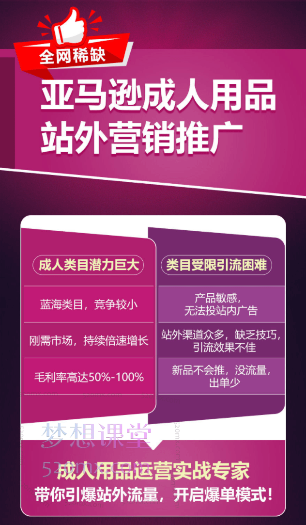 全网稀缺！亚马逊成人用品站外营销推广