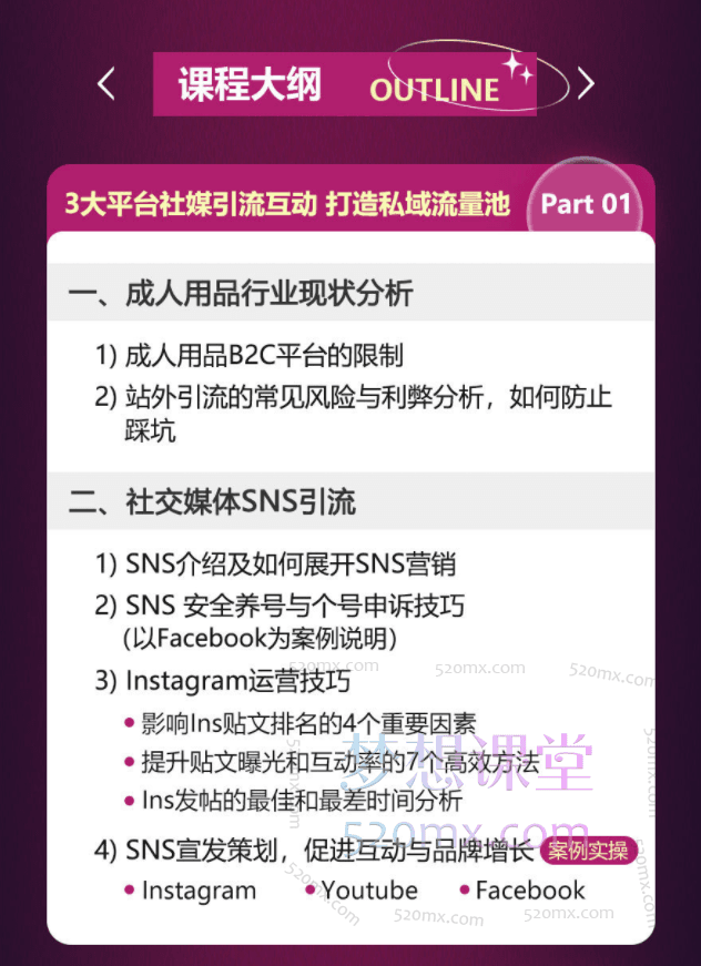 全网稀缺！亚马逊成人用品站外营销推广