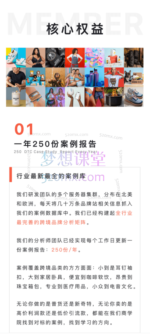任小姐出海战略咨询-DTC案例商学院,让一部分人率先看懂全球市场