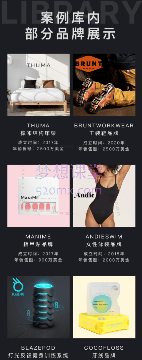 任小姐出海战略咨询-DTC案例商学院,让一部分人率先看懂全球市场