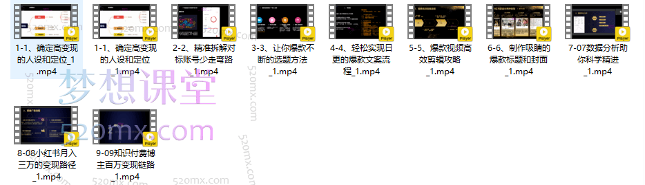 多乐妈叫荔枝9节课带你从0-1做个赚钱的小红书博主