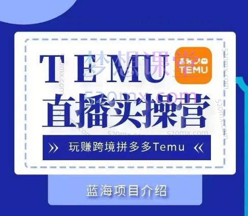 Temu直播实操营,直播答疑 + 高效实操特训课程(228节实操)