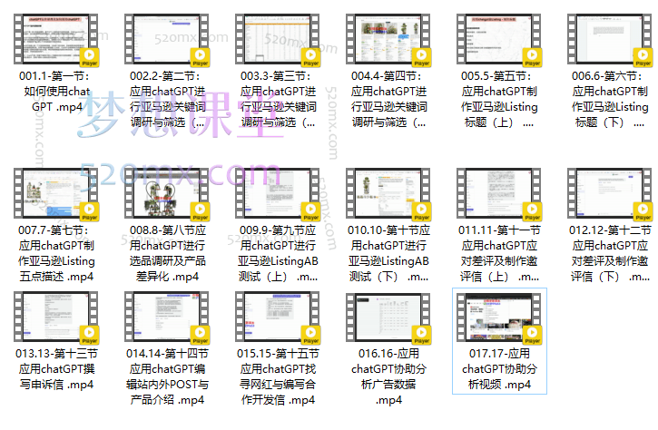 亚马逊爆款利器：ChatGPT实战攻略，以最低成本和最高效率打造BS爆品