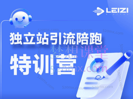 雷子Leizi独立站引流陪跑特训营