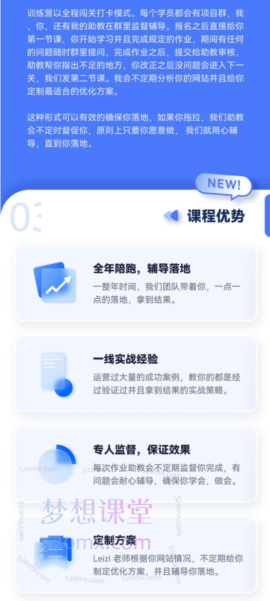雷子Leizi独立站引流陪跑特训营