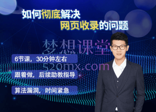 雷子leizi如何彻底解决网站收录的问题