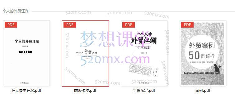 冉凌燕一个人的外贸江湖全四册装 在无畏中狂欢+前路漫漫+尘埃落定+案例(pdf电子书)