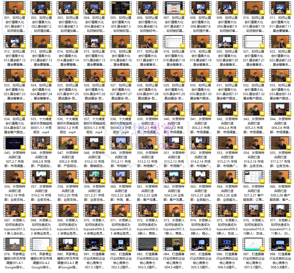 歪猫雷神-外贸业绩增长实战心法，精进外贸能力，成就业绩增长