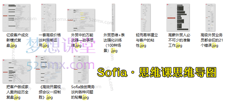 2025帮课Sofia思维课,碾压90%以上的外贸业务员