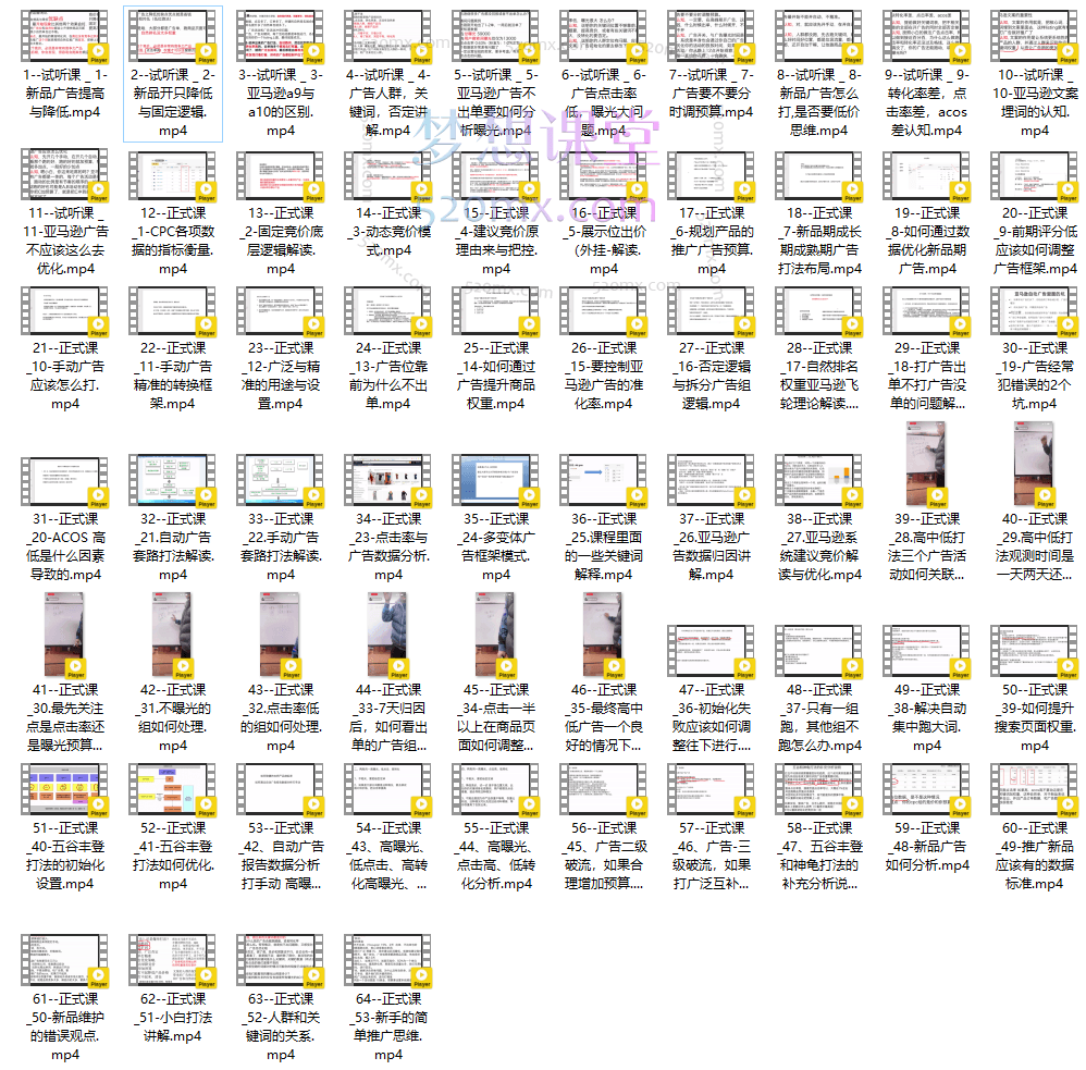 Sam大叔（山姆）亚马逊运营广告底层逻辑与实操打法广告课