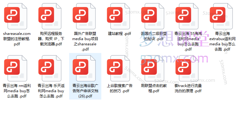 2024青云出海国外广告联盟media buy项目课程