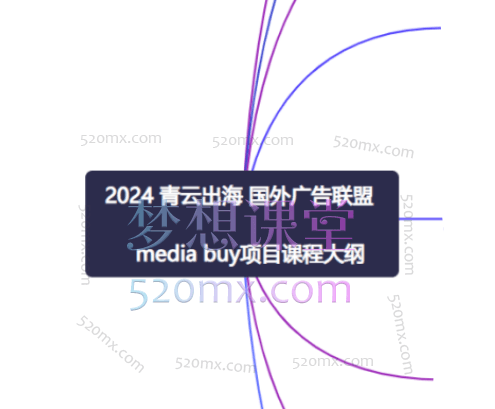 2024青云出海国外广告联盟media buy项目课程