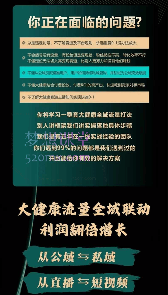大谦-大健康全域流量新增长6.0，公域+私域从定位到变现的全方位实战指南