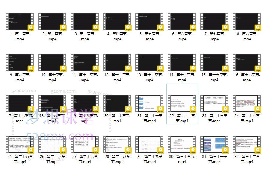 Sam大叔亚马逊中高阶广告放量课程(旺季必备)