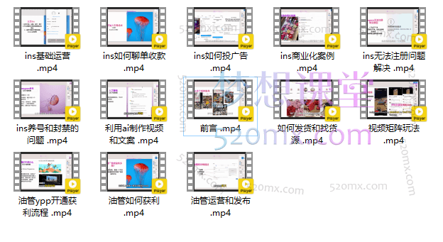 跨境电商小p哥:外贸跨境电商-海外社媒运营课