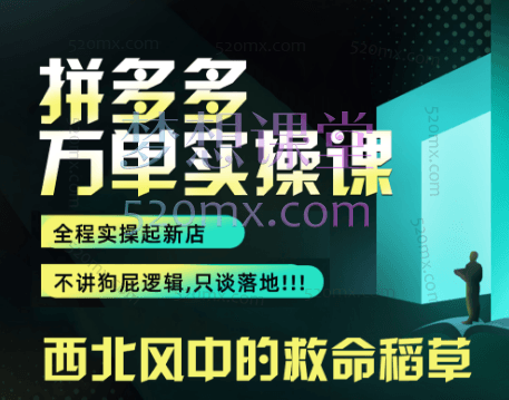大毅电商:拼多多万单实操课,全程实操落地