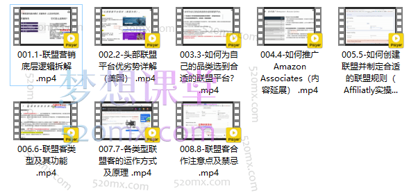 Affiliate Marketing国外广告联盟营销0-1入门,联盟营销基本逻辑、联盟平台逻辑及联盟客逻辑全面详解