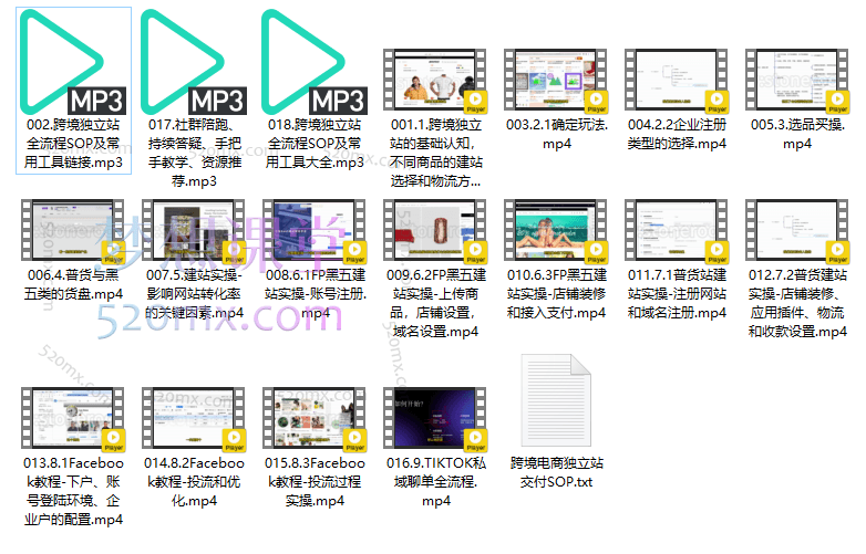 厚玉Aron跨境电商独立站及全域流量营销(视频+课件)