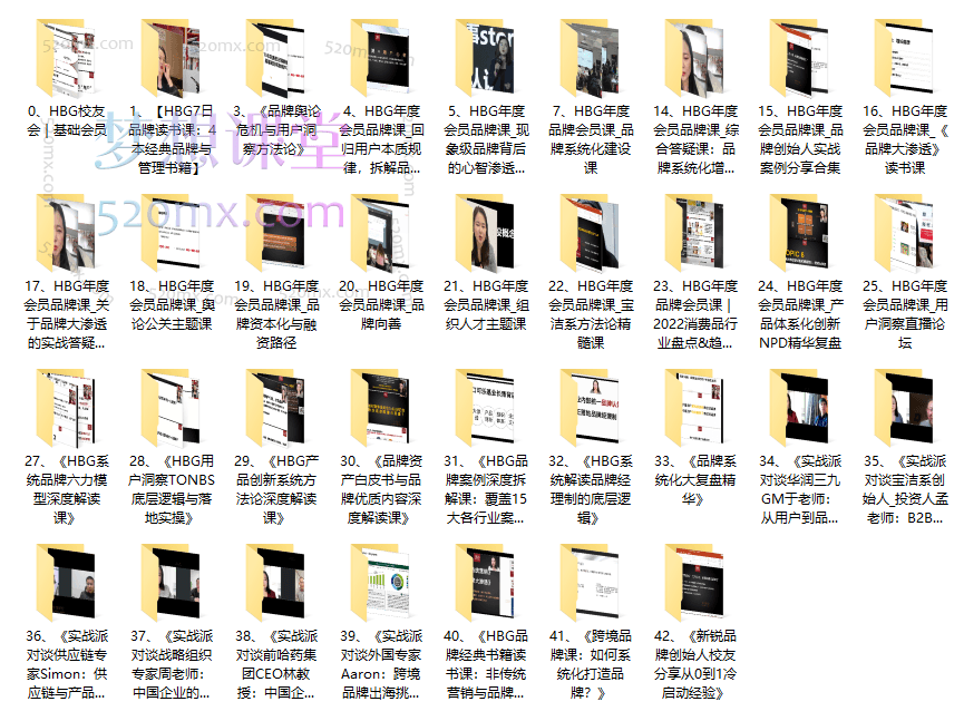 HBG品牌研究院《HBG100节+系统品牌方法论完整课程合集》