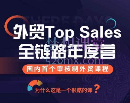 顶尖外贸领袖 – 全链路实操落地年度训练营