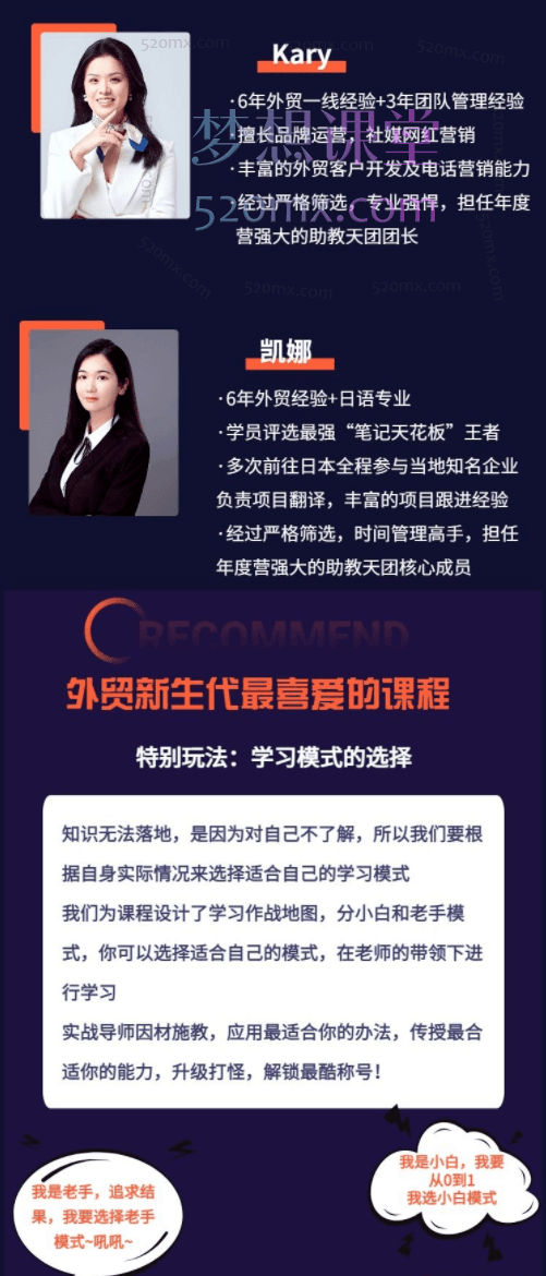 顶尖外贸领袖 - 全链路实操落地年度训练营