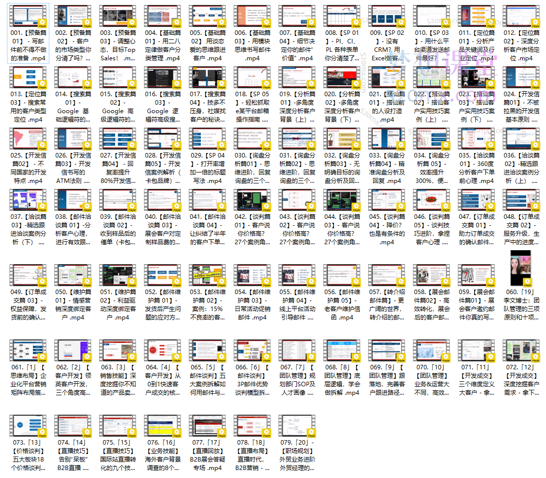 顶尖外贸领袖 - 全链路实操落地年度训练营