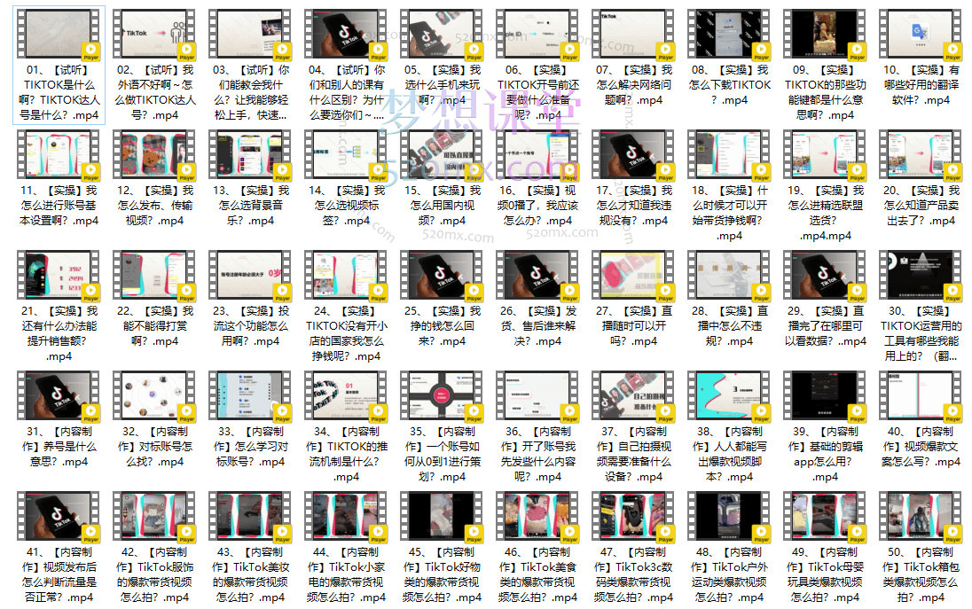 大西南出海开个TikTok达人号 轻松学会全球赚钱技能