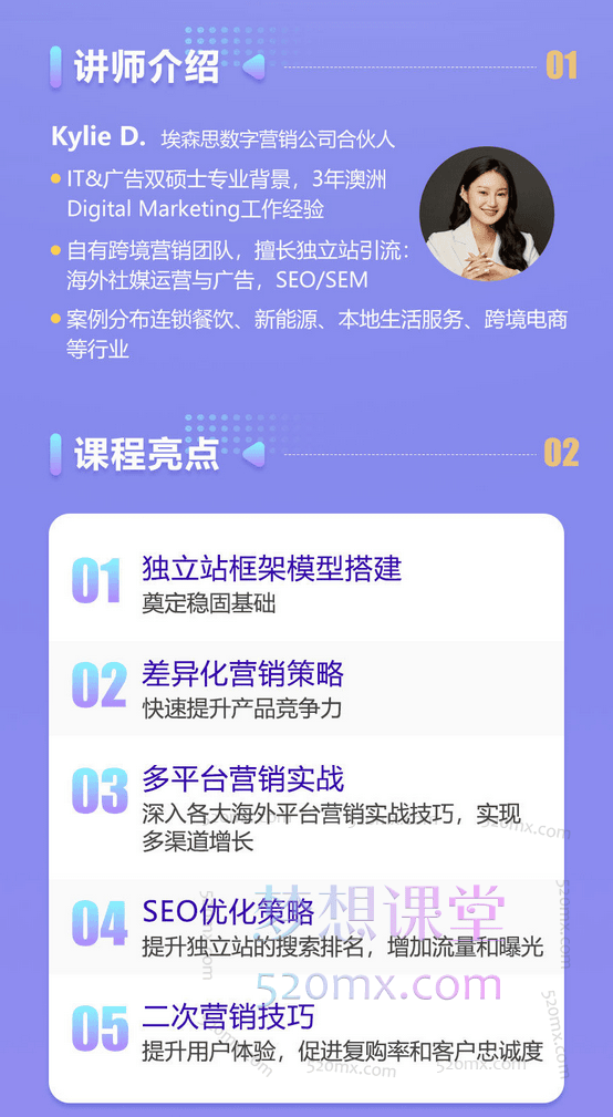 Kyie D独立站营销全流程,让你的独立站Google排名持续上升!