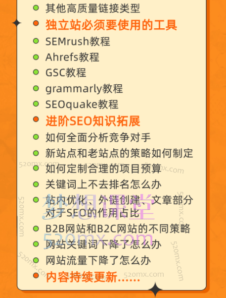 2025若凡SEO研习室:谷歌SEO实操课视频课