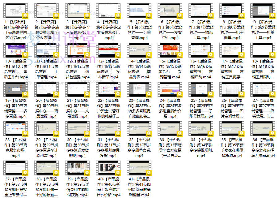 大海电商说拼多多新手破局课