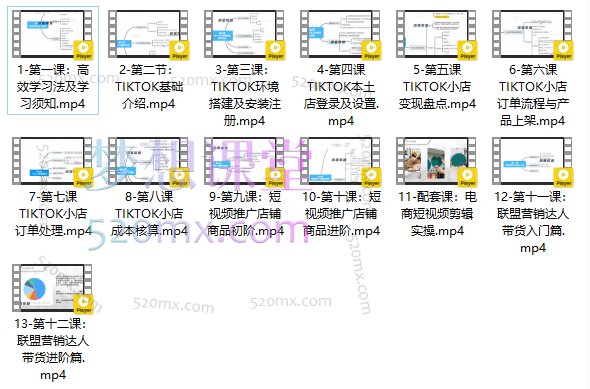 TikTok出海计划陪跑训练营-把握TikTok流量新机遇 助力跨境电商扬帆起航