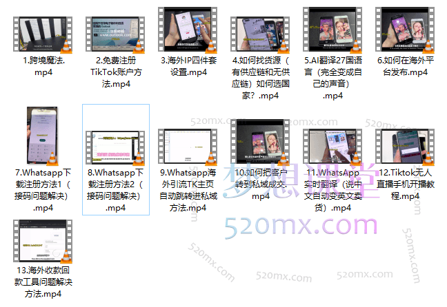 曾大侠非凡海外文化-出海外贸定制课程(短视频/无人直播/外贸玩法)