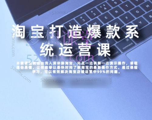 大海电商说淘宝运营系统课程