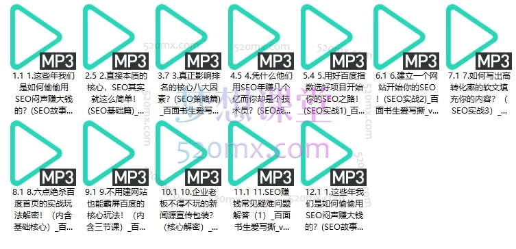 唐小伙用SEO直接赚大钱,一个网站只要每天有1000人看直接躺赚,如果10000人呢?