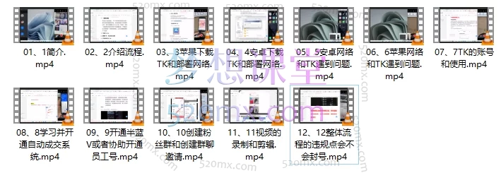 TK虚拟资源变现