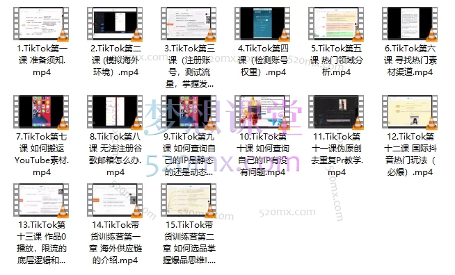 TikTok流量增长变现训练营