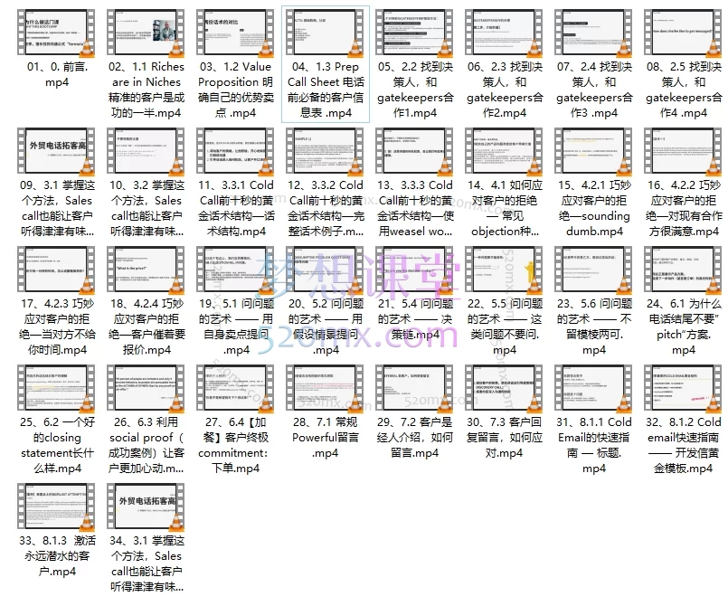 Sarah老李外贸电话高手：黄金话术高成交客户开发（自学版）