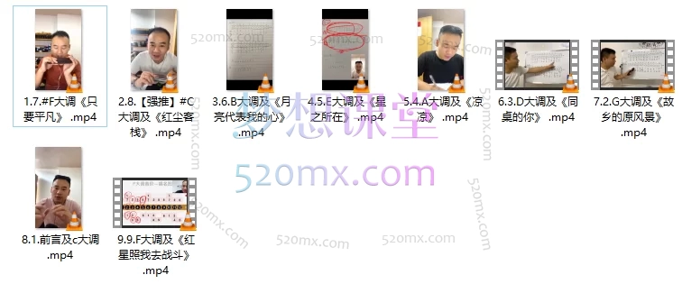 孟伟华半音阶口琴转调（12调）实战练习线上视频课