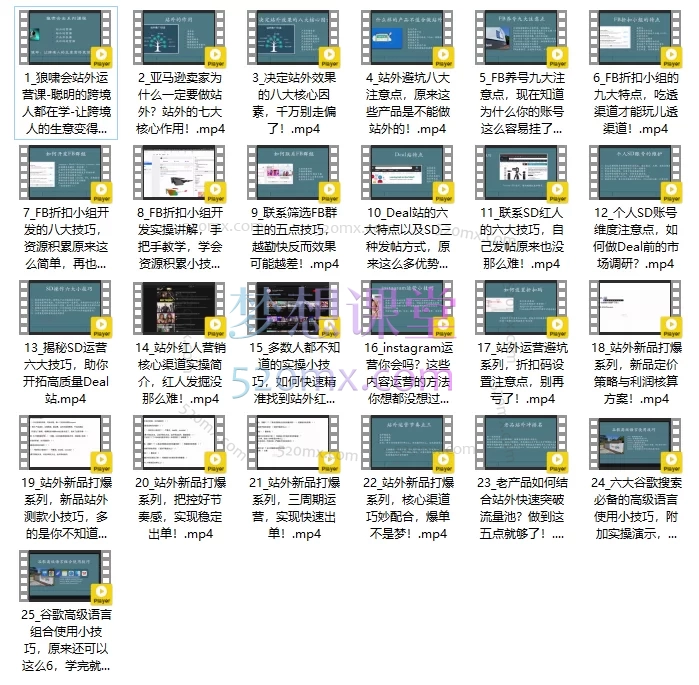 狼啸会敏哥的亚马逊站外运营课，每天10分钟，手把手教你成为站外运营高手！