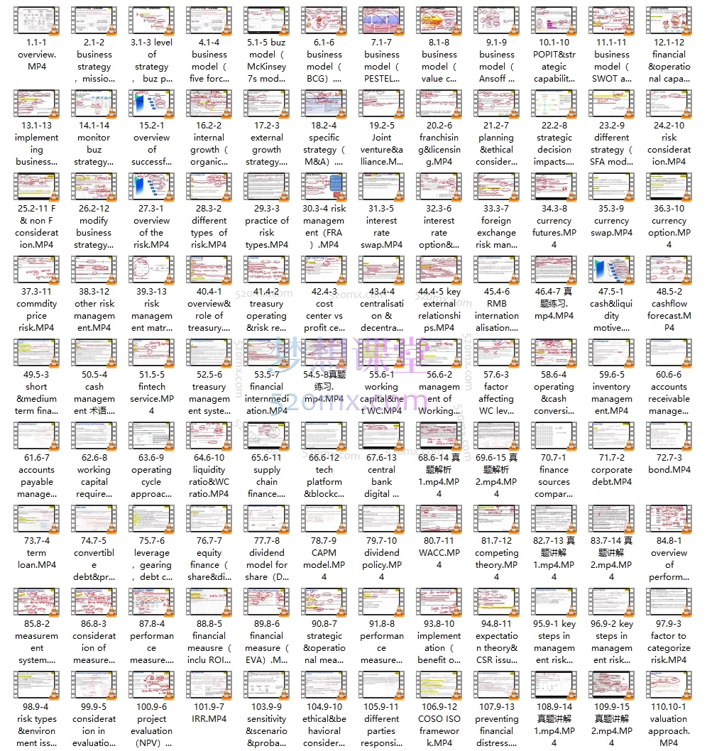 vivi老师讲国际会计2025 hkicpa m12课程,香港cpa m12 business & finance 课程双语视频。