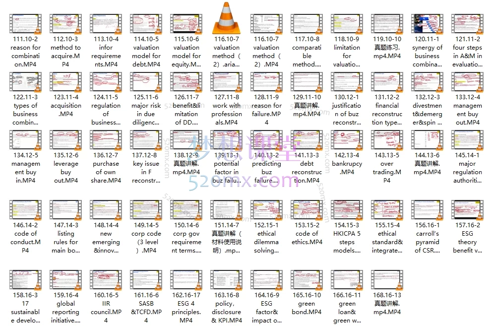 vivi老师讲国际会计2025 hkicpa m12课程,香港cpa m12 business & finance 课程双语视频。