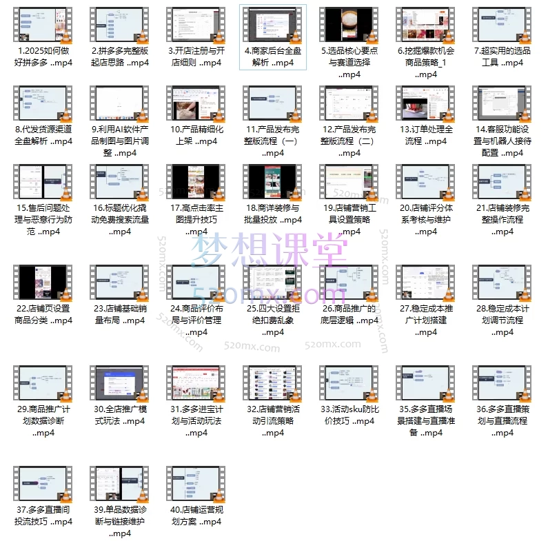 仙道电商2025【版】【拼多多运营会员】课程+辅导+诊断