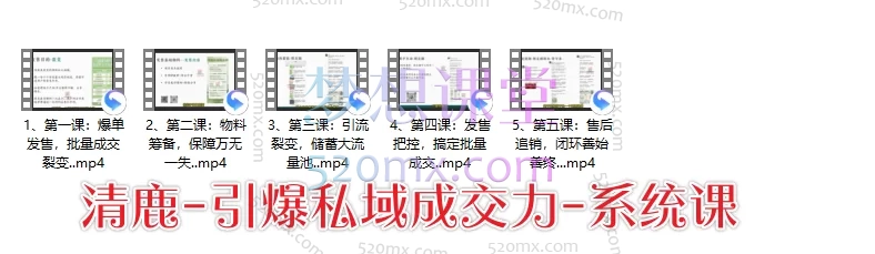 清鹿私域:高粘性社群运营+高成交私聊转化+引爆私域成交力+高转化发售爆单+高复购朋友圈营销,合集